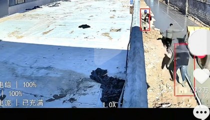 山东一村民自费修路却被村书记破坏？当地回应：村民占用永久基本农田