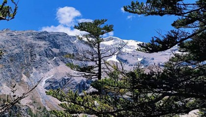 海外问卷是怎么盈利的？