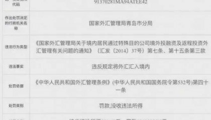 青岛一企业违规汇外汇入境获利600元罚1800万，外汇局回应！