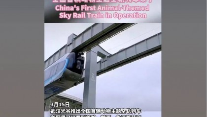 外交部转发！武汉空轨上有羊驼