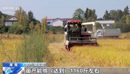一大批农产品正走向你的餐桌！全国秋粮收获近四成