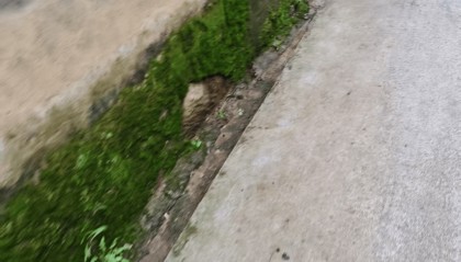 中学女生被同班男孩杀害，遇害地离家不足200米，云南当地警方称正在调查