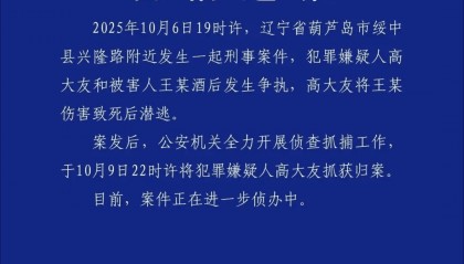 高大友酒后伤人致死,已被抓获归案,辽宁警方通报