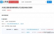 《家有儿女》“夏东海”扮演者高亚麟，被执行310万余元！