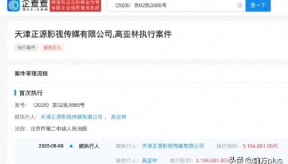《家有儿女》“夏东海”扮演者高亚麟,被执行310万余元!