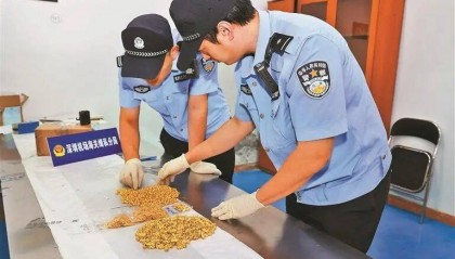 一群“蚂蚁”搬了130公斤黄金！深圳破获特大黄金走私案，案值7800万元