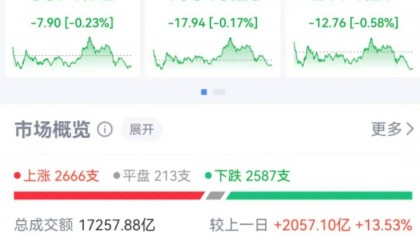 三大指数收跌，沪指盘中一度创年内新高