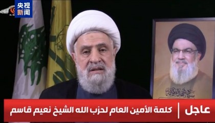 黎真主党领导人卡西姆发表就任后首次视频讲话 将继续执行现有军事计划