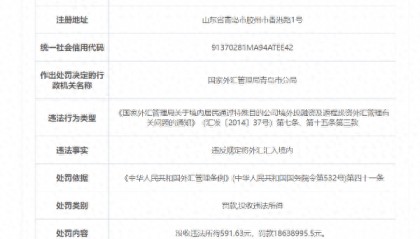 违法所得几百元,罚款达1800多万 国家外汇管理局青岛市分局回应