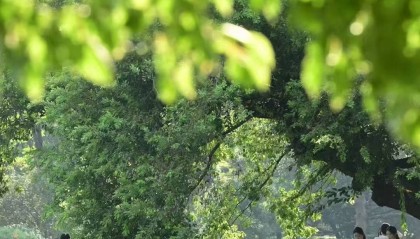 40℃的白露太夸张,熬过今明两天,浙江真能告别高温吗