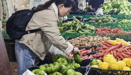 价格飙升至70元/公斤！很多昆明人家中必备……