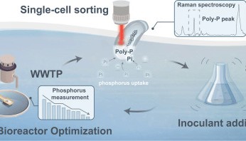 一周前沿科技盘点丨精准挖掘微生物，实现污水高效除磷；全光操控，让悬浮细胞“站稳”拍照