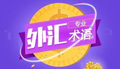外汇是什么意思,有哪些常见外汇术语?