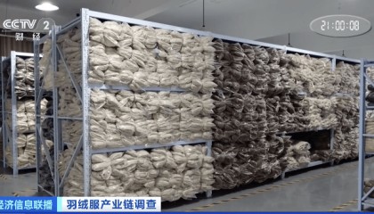 今年羽绒服价格大涨？每件涨200-500元！原因竟与猪价有关？