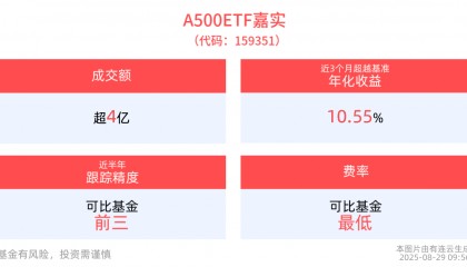 中国资产重估仍在持续，A500ETF嘉实(159351)红盘上扬，成分股中国巨石、中国稀土等纷纷10cm涨停