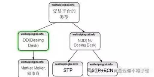 外汇交易平台详细分类介绍，让你看懂外汇中的MM、STP与ECN的不同！