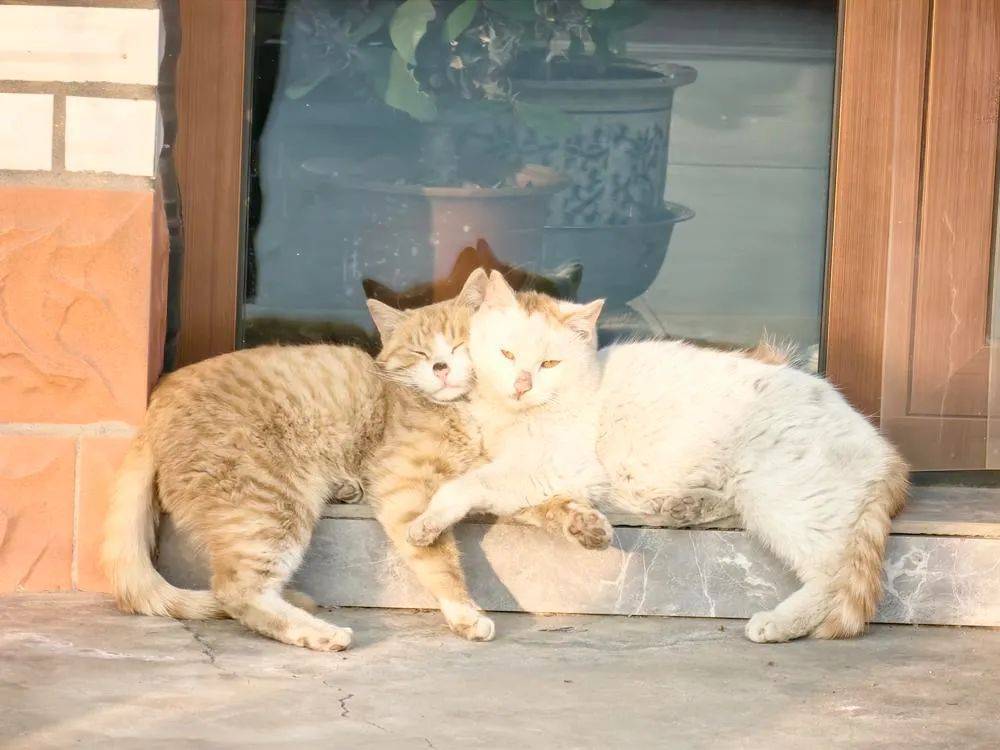太善解人意，是对自己的软暴力
