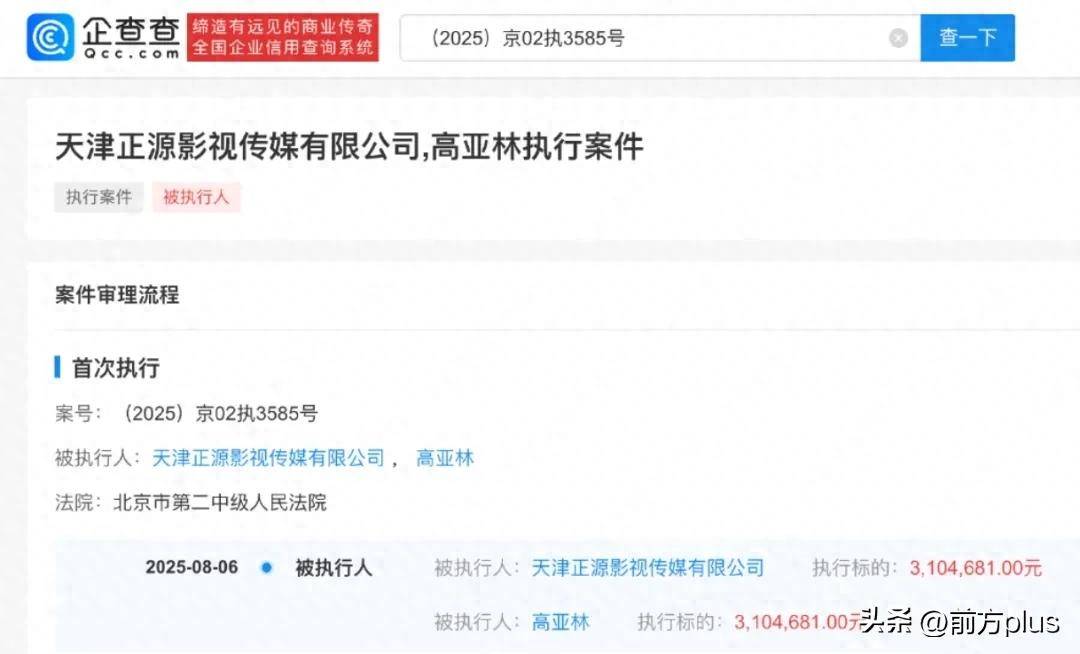 《家有儿女》“夏东海”扮演者高亚麟，被执行310万余元！