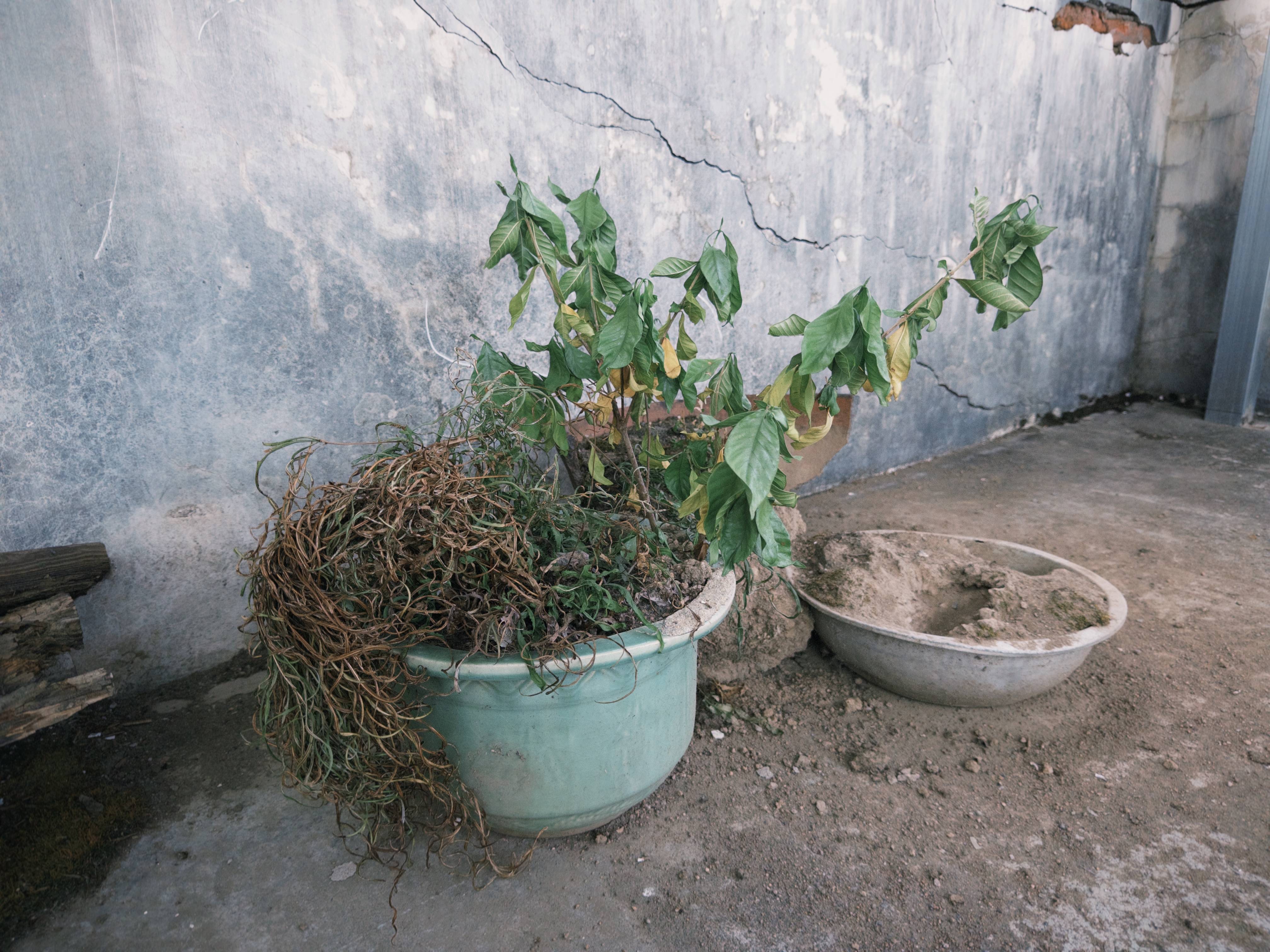 七旬母亲卖掉儿子3万斤藏书 称读书害了他