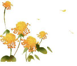 九九重阳，共品传统韵味里的安康岁月