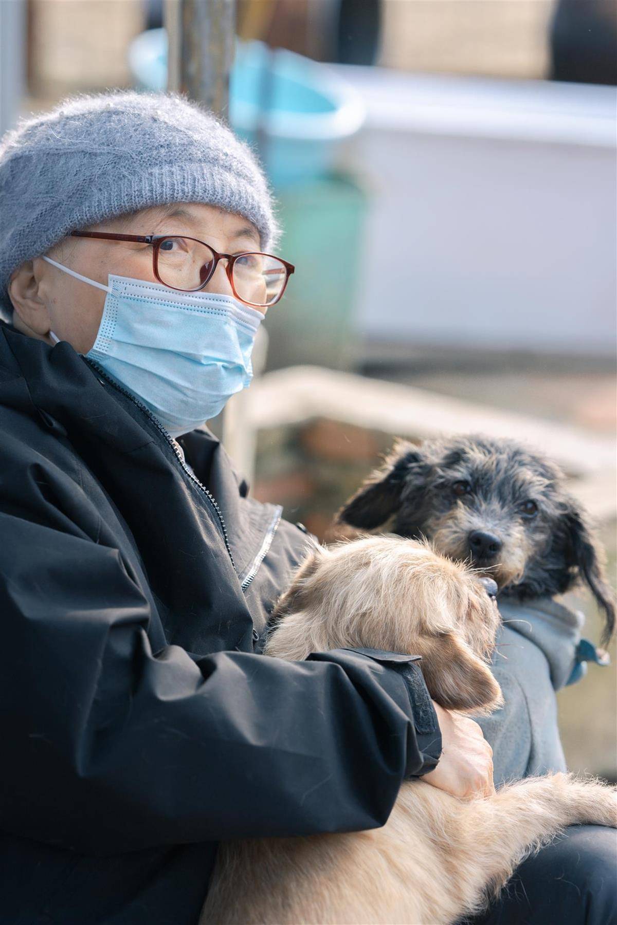 合肥卖房救助流浪狗的魏阿姨离世,病中仍然惦记着基地的600只流浪狗,工人:不敢相信世上还有这样执着的人