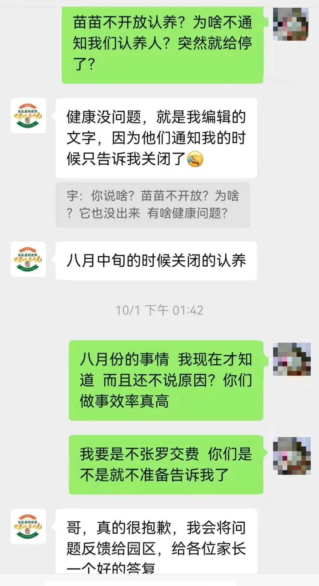 认养东北虎两年,续费时才知道老虎已死亡