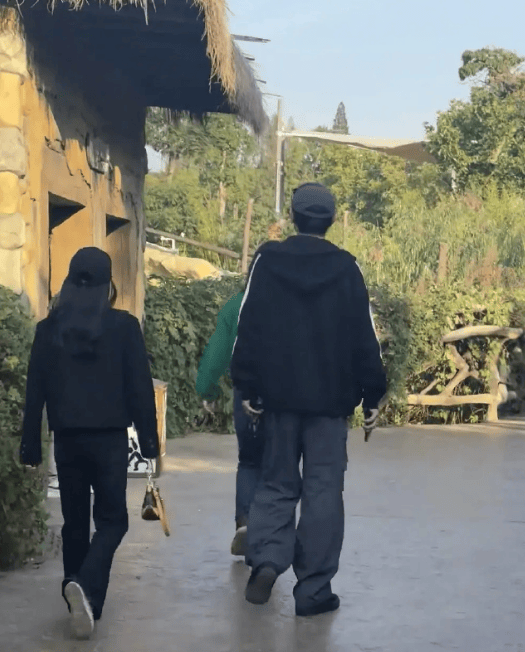 考古 | 杨旭文辟谣和跳水冠军陈若琳订婚!两人何时有的交集?