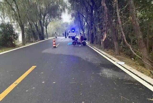 女教师骑车上班“撞树”身亡，交警认定其超速！法院一审、二审反转！家属最终获赔76万元