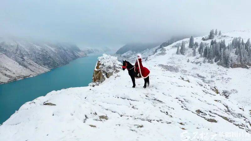 贺娇龙已安葬于昭苏公墓，其父亲亦葬于此地