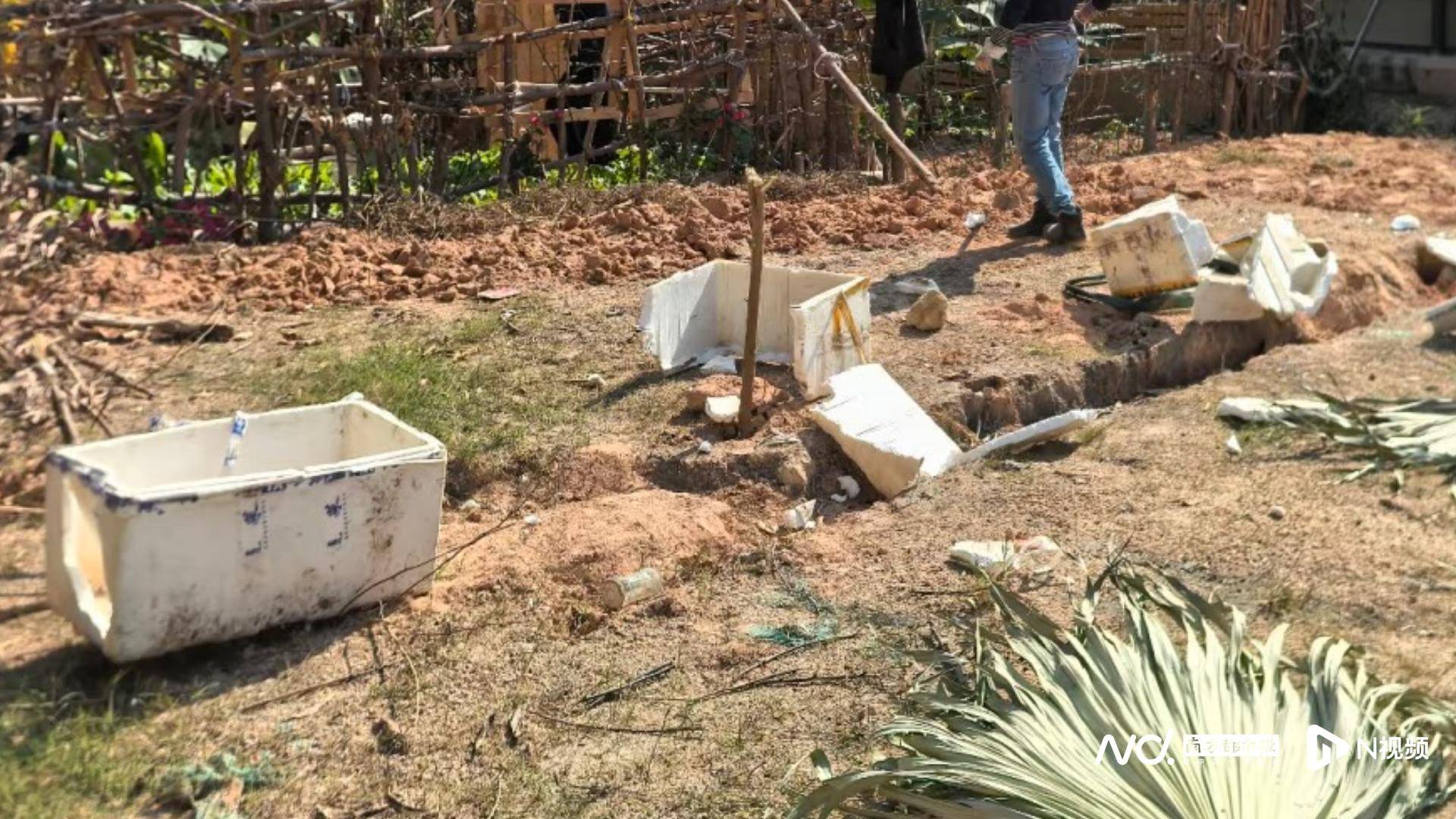 深圳一学校旁储备用地遭“开荒种菜”，街道办：已装防爬设施