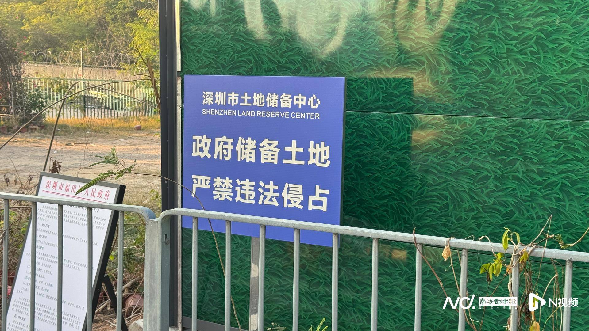 深圳一学校旁储备用地遭“开荒种菜”，街道办：已装防爬设施