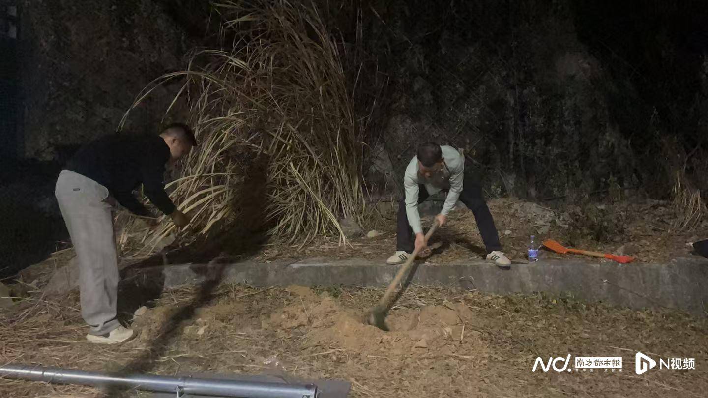 深圳一学校旁储备用地遭“开荒种菜”，街道办：已装防爬设施
