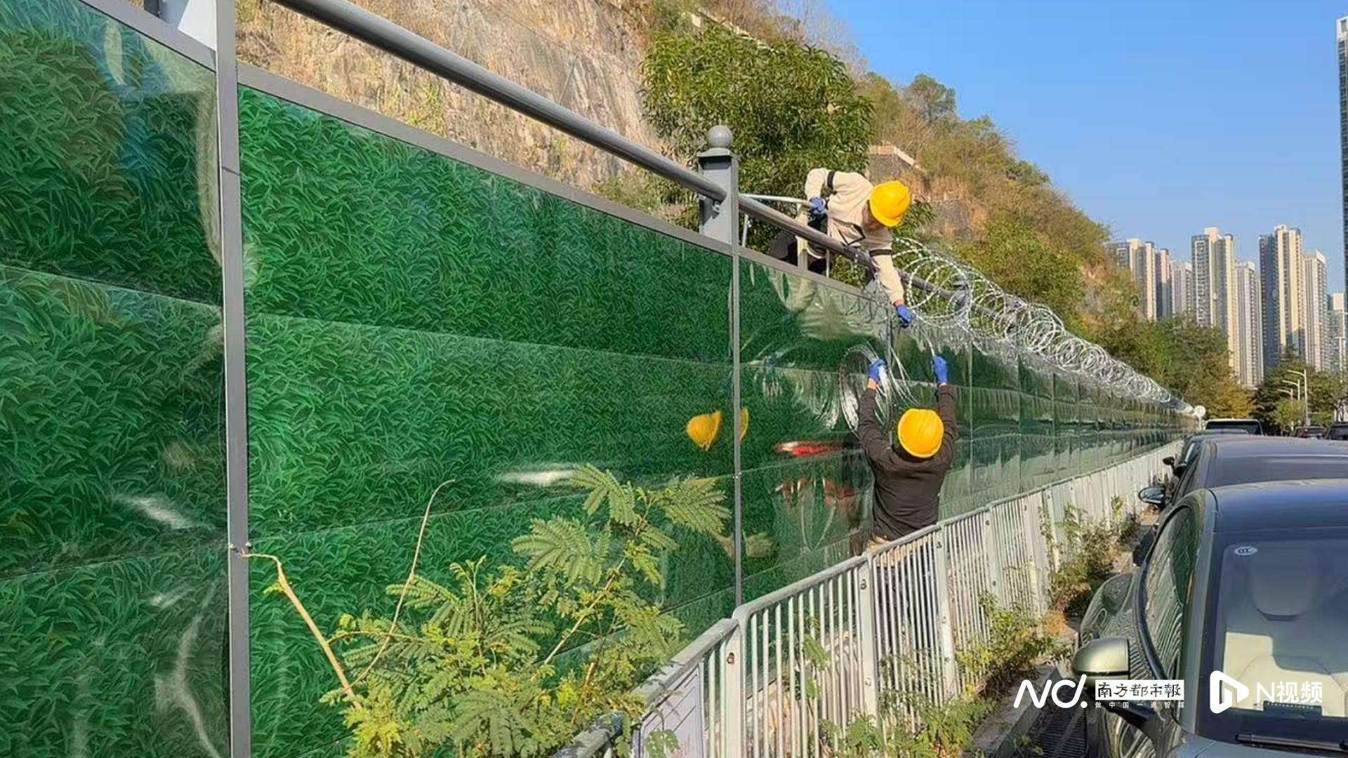 深圳一学校旁储备用地遭“开荒种菜”，街道办：已装防爬设施